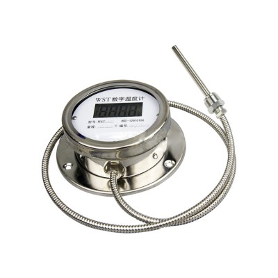 Stainless steel LCD digital capillary temperature meter