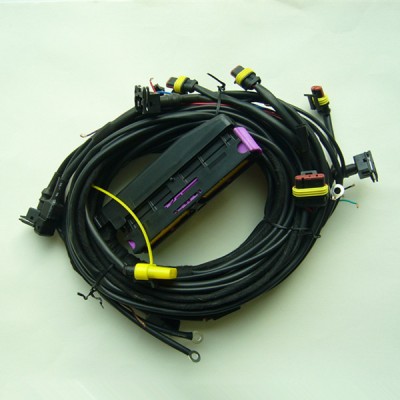 ECU cable interface lpg for automobile cng lpg kit