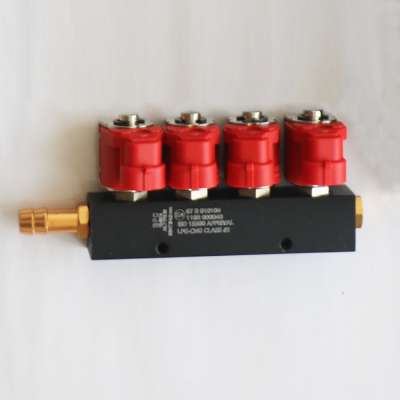 Common Rail cng lpg Fuel Injector Type fuel injector